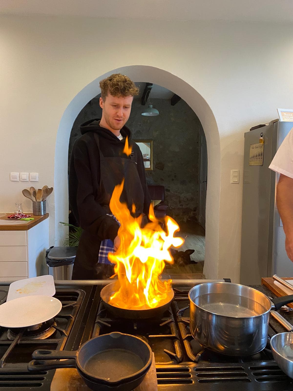 Gastronomic discovery and cooking