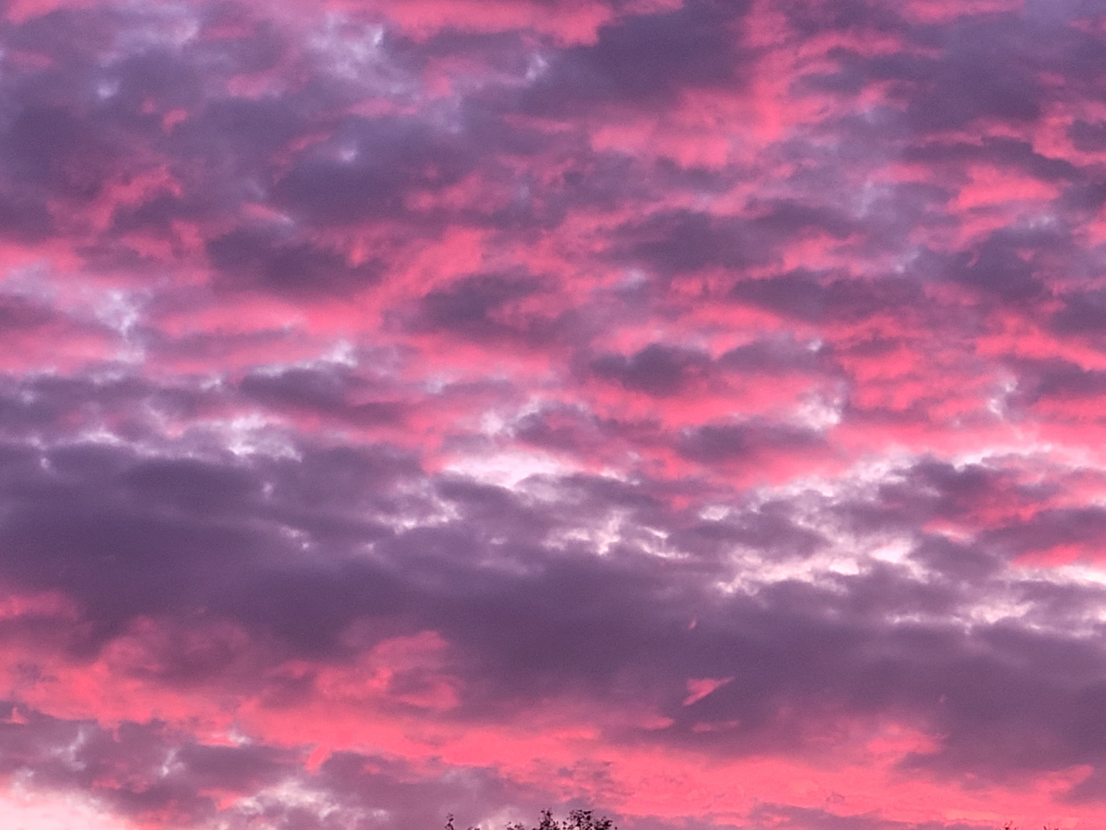 Tennis holiday at Baron Figues