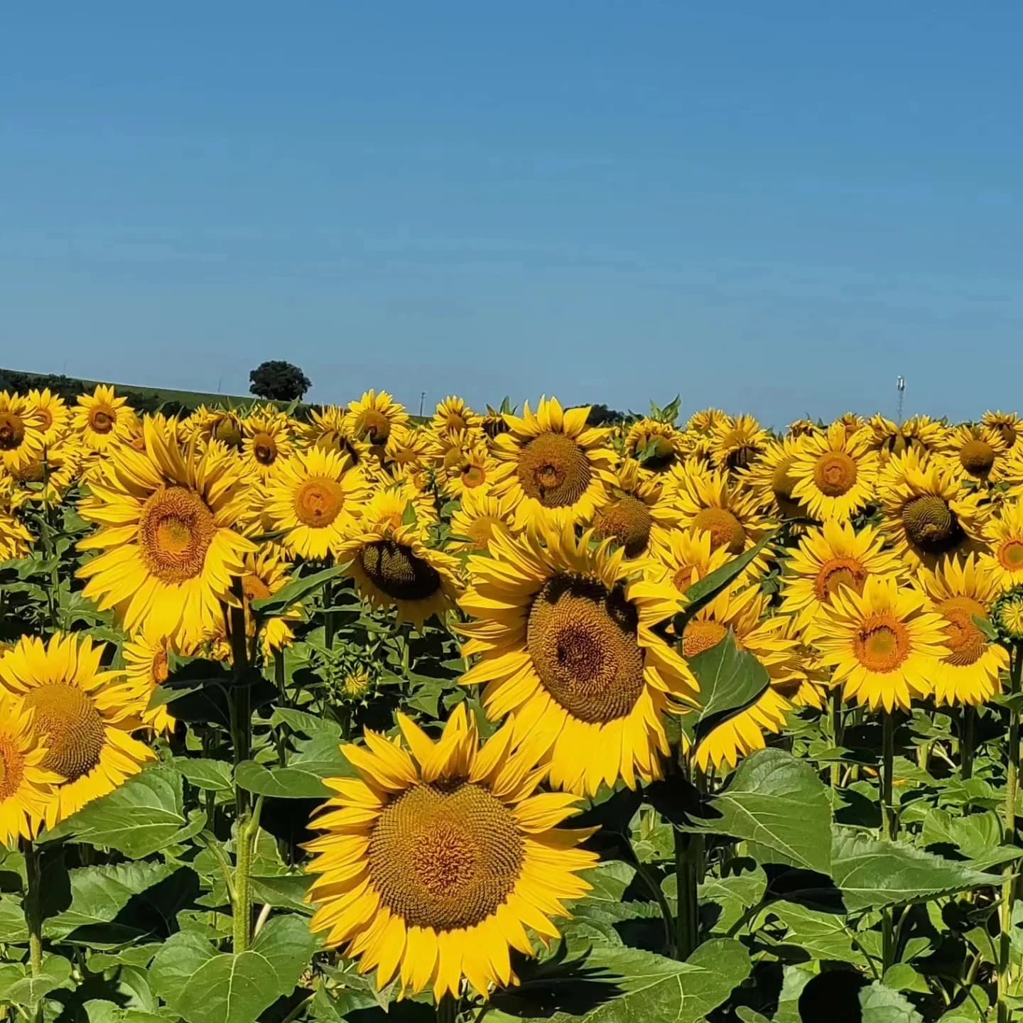 Workshop activities and excursions