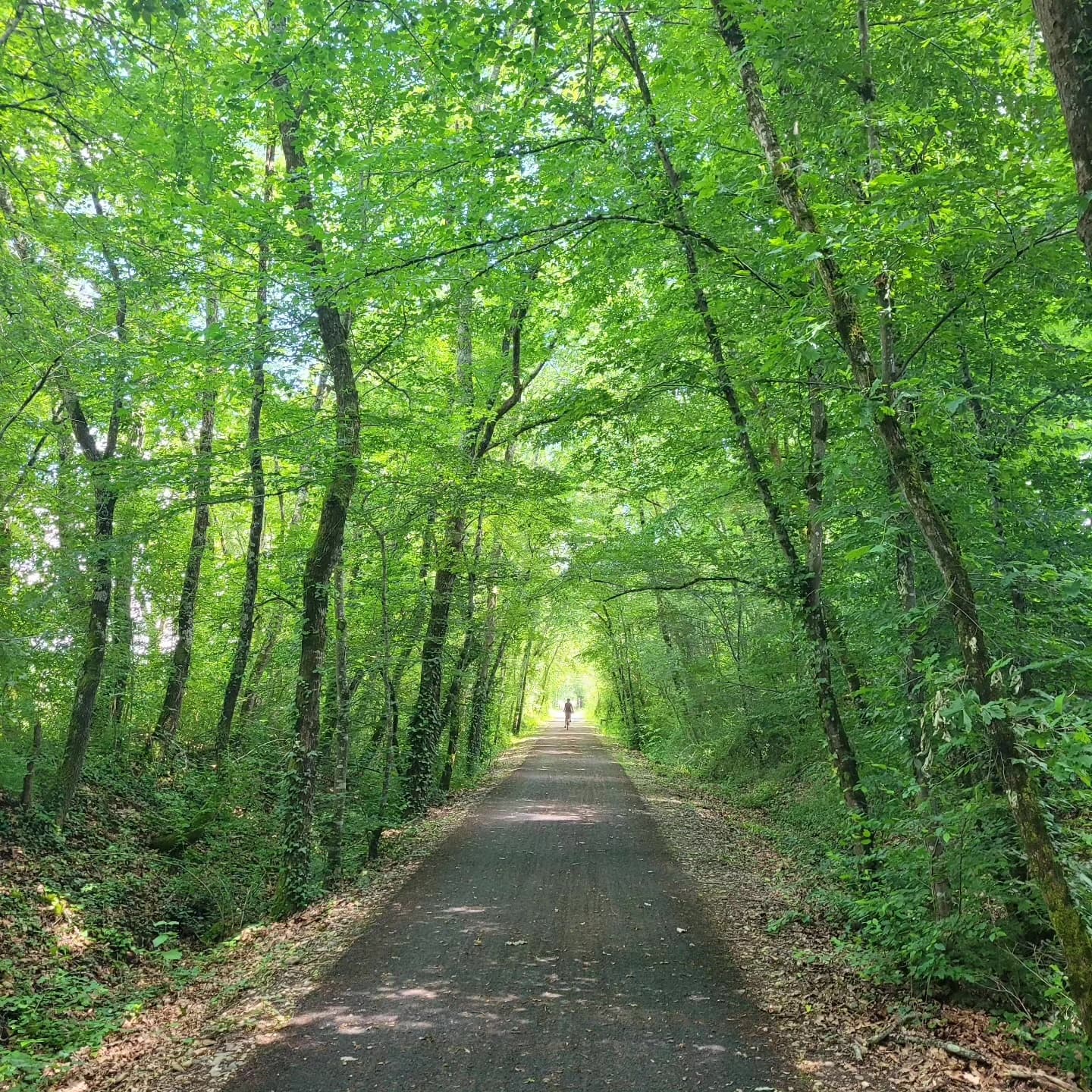 Complimentary station transfers