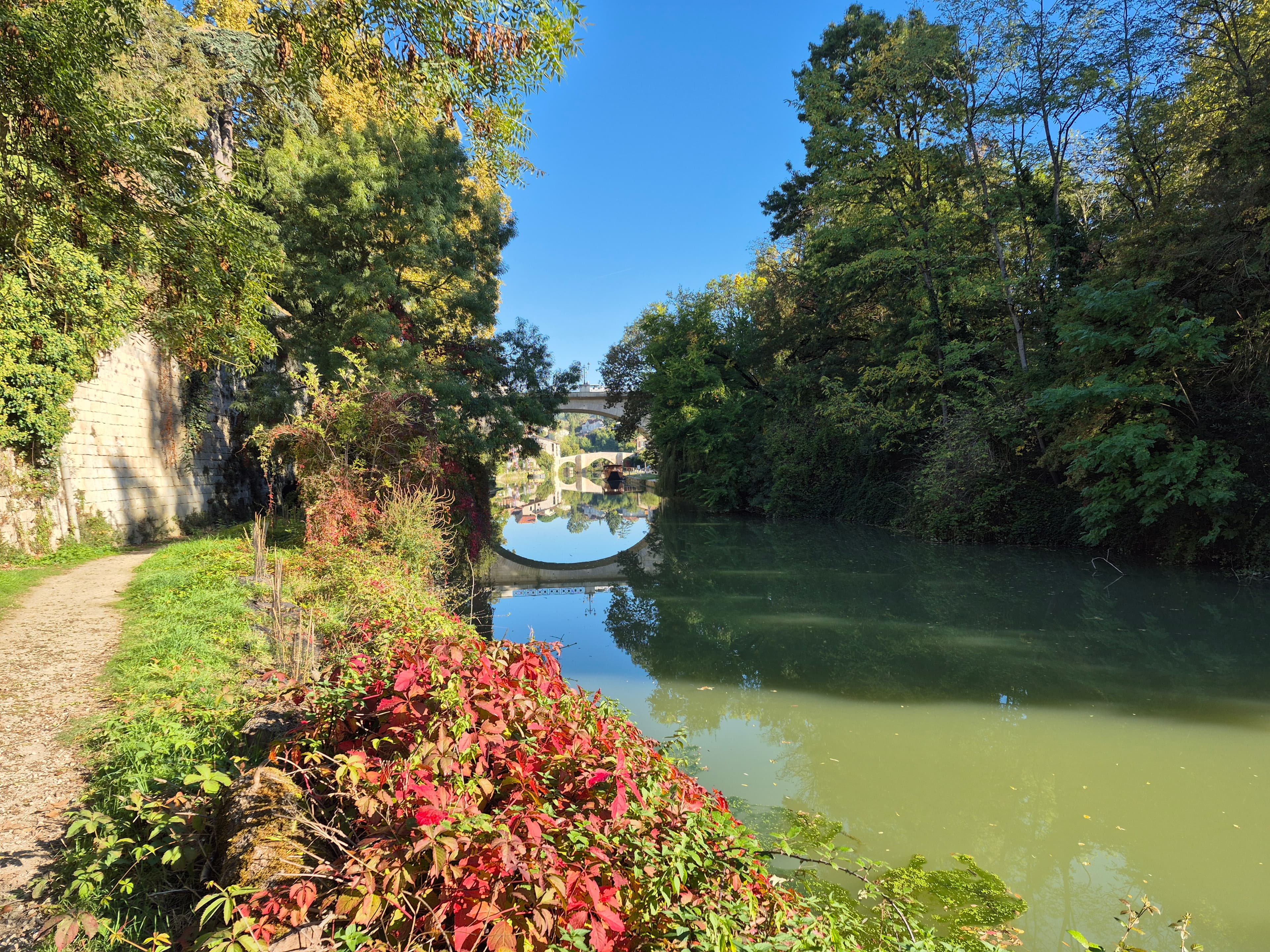 Gascony countryside and sunflowers