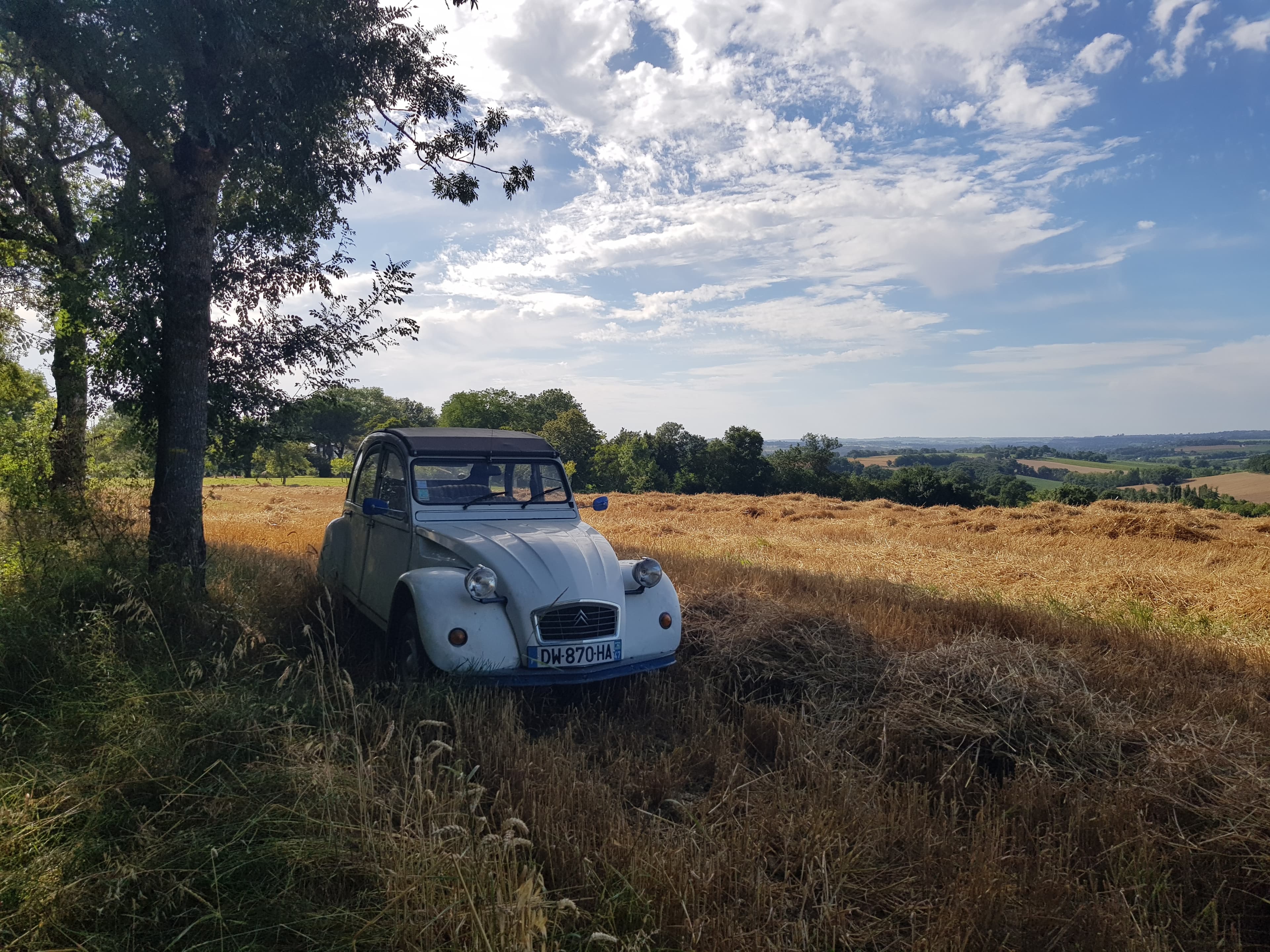 Baron Figues house with garden